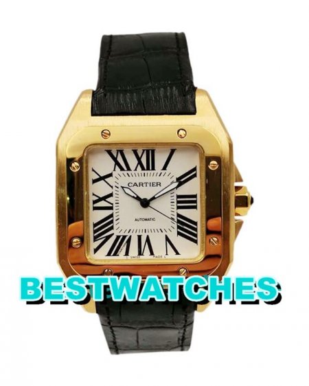 Cartier China AAA Best USA Replica Santos 100 W20112Y1 - 40 MM