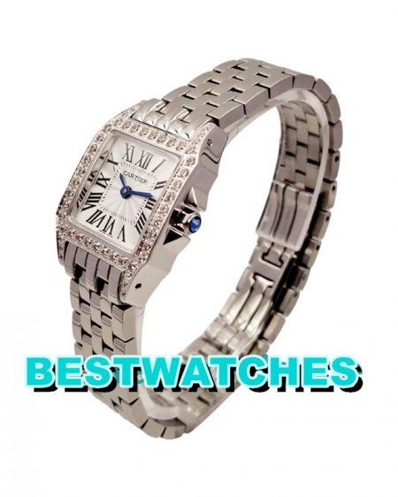 Cartier China AAA Best USA Replica Santos WF9005Y8 - 27 MM