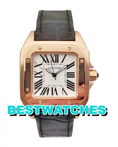 Cartier China AAA Best USA Replica Santos 100 W20108Y1 - 35 MM